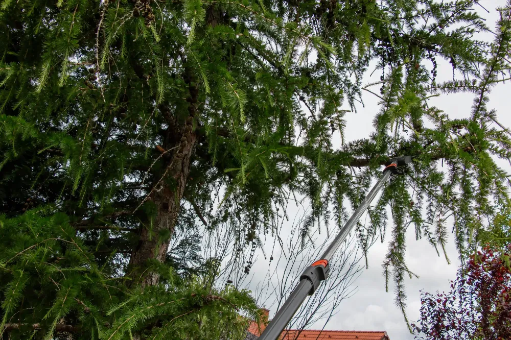 Paysagiste à Montélimar
