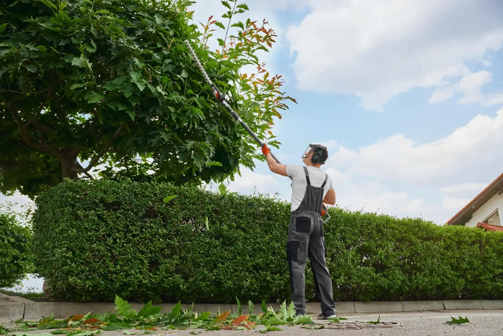 Entretien de jardin à Montélimar